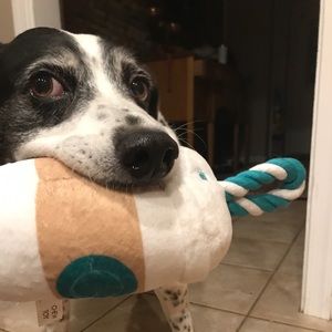 Meet your Posher, Allison